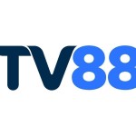 tv88vina com Profile Picture