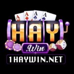 Haywin Sân chơi game đổi thưởng Profile Picture