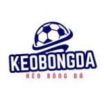 Kèo bóng đá Profile Picture