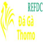 Đá Gà Trực Tiếp Thomo Profile Picture