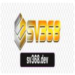 Sv368 Dev Profile Picture
