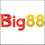Nhà Cái BIG88 Profile Picture
