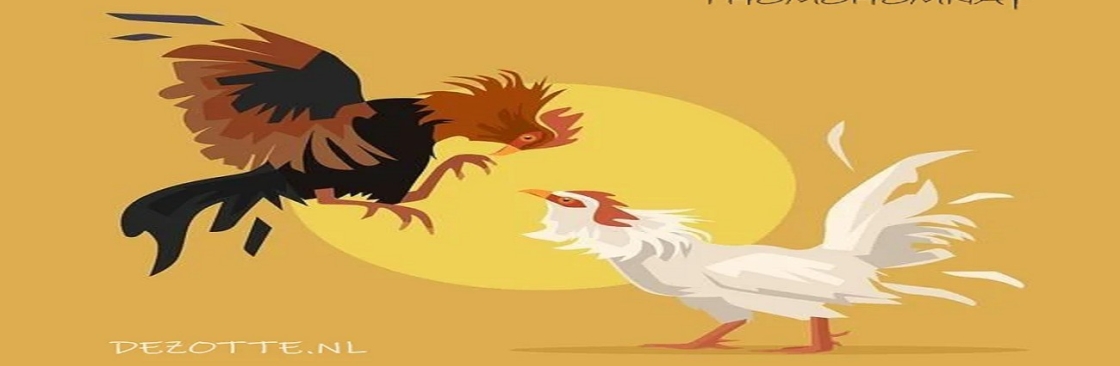 thomohomnay TRỰC TIẾP ĐÁ GÀ Cover Image