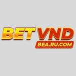BetVND Profile Picture