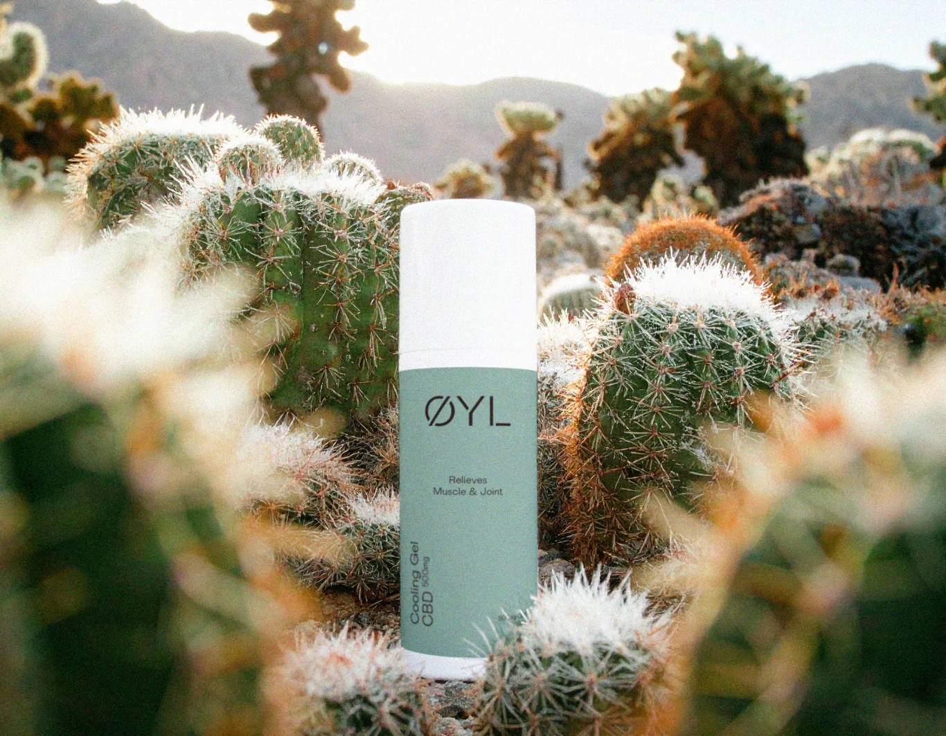 L’huile de CBD peut-elle réduire les douleurs menstruelles ? – OYL CBD