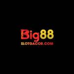 BIG88 SlotGacor Profile Picture