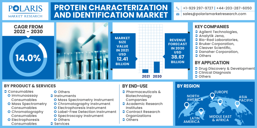Protein Characterization and Identification Market Insights 2034