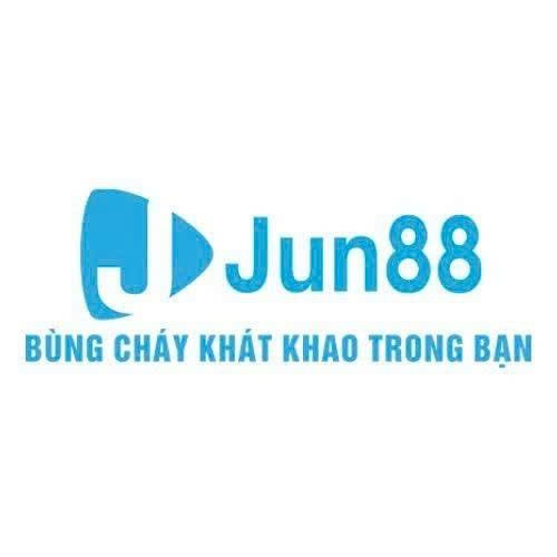 CEO Nguyễn Diệu Linh Profile Picture