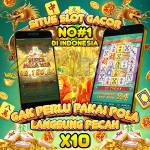 togel Profile Picture