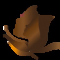 Mnbrowlash Academy Profile Picture