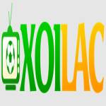 Xôi Lạc Profile Picture