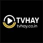 tv hay Profile Picture