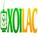 Xôi Lạc Profile Picture