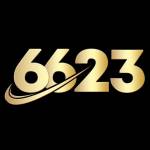 66 23 Profile Picture