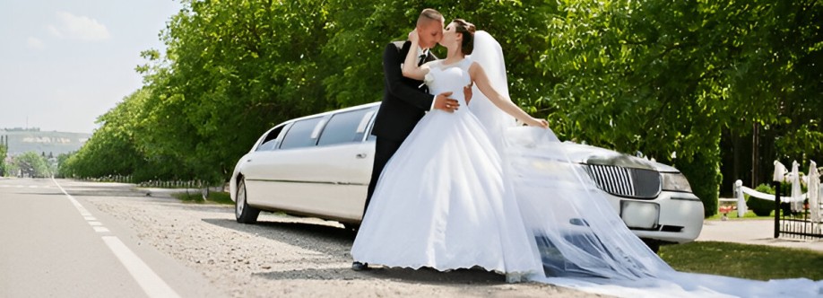 Sn Limo Cover Image
