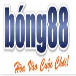 bong88 a space Profile Picture