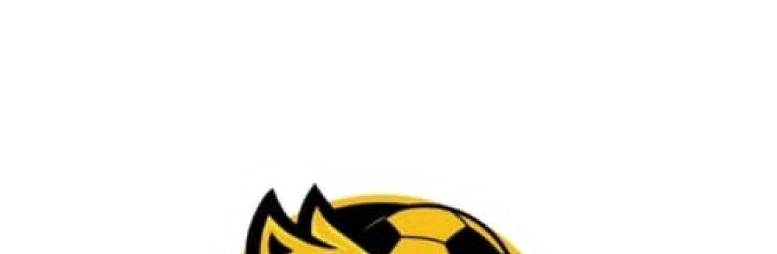 Socolive Cover Image