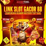 Slot Gacor 88 Profile Picture