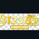 123B VT Profile Picture