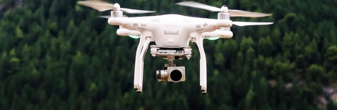 Skye Link Cover Image