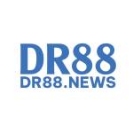 DR 88 Profile Picture