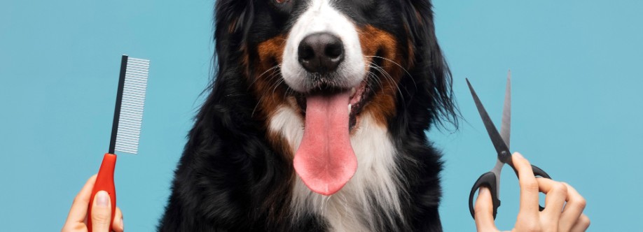 thegroomer Cover Image