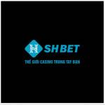 shhbett com Profile Picture