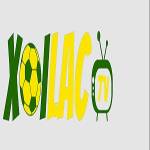 maniffestocom scamming users Profile Picture