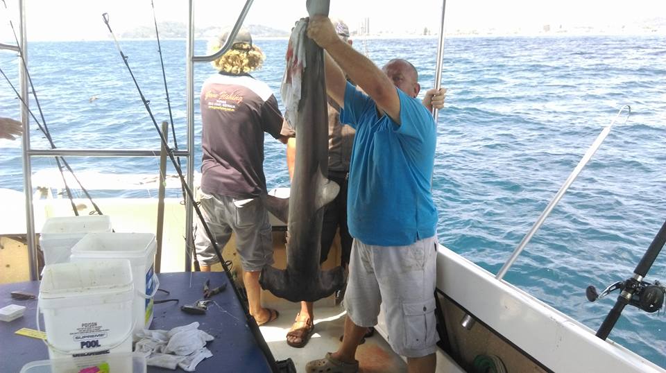 Fishing charters gold coast deals | Cheap Fishing Charters Gold Coast