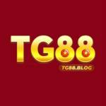 TG88 Profile Picture