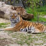 Corbett Park Profile Picture
