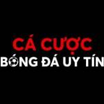 Cá Cược Bóng Đá Profile Picture