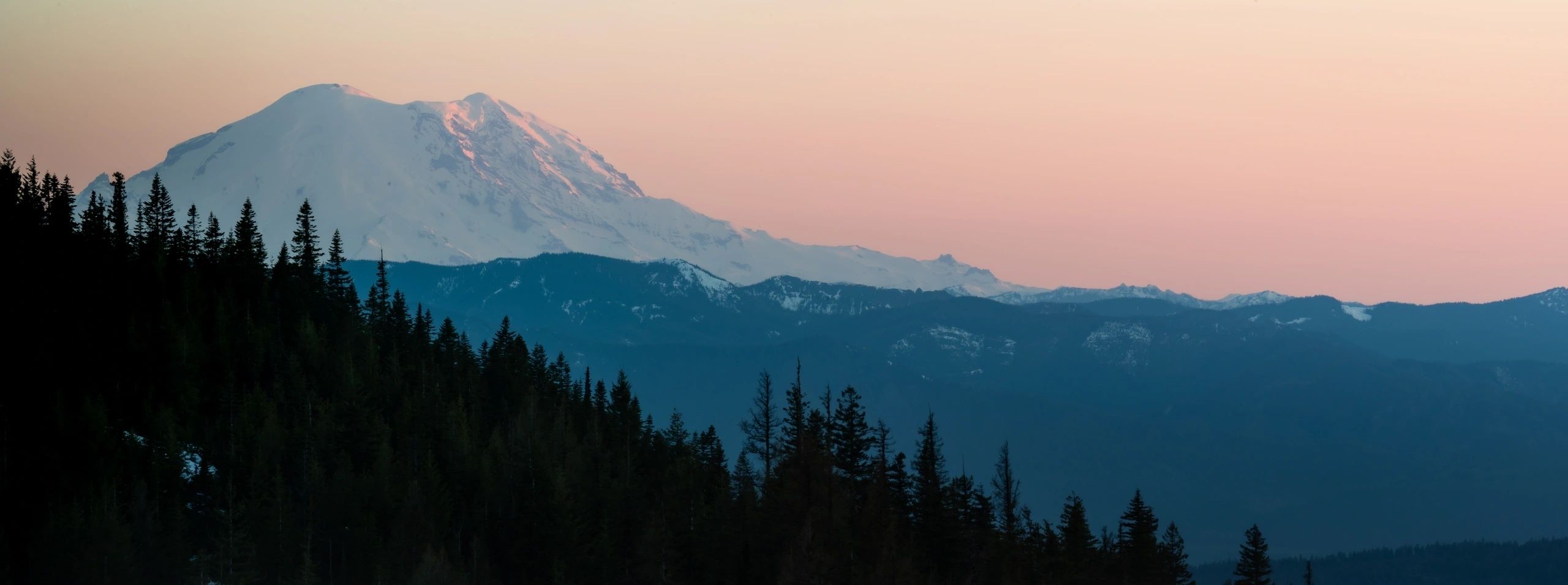 Digital Downloads & Framed Prints