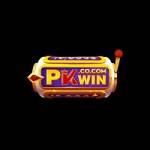 PKWIN Profile Picture