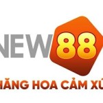 new88 zio Profile Picture