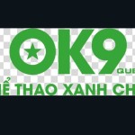 nhà cái ok9 Profile Picture
