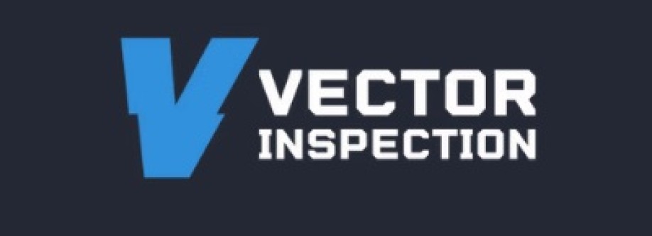 Vector Inspection Cover Image