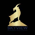 skyview Business Solutions Profile Picture