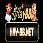 Hay88 net profile picture