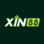 Xin88 Profile Picture