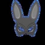 BDSM Attire Profile Picture