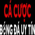 Cá Cược Bóng Đá Profile Picture