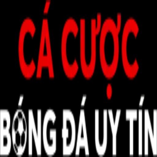 Cá Cược Bóng Đá Profile Picture