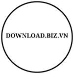 Download Biz VN Profile Picture