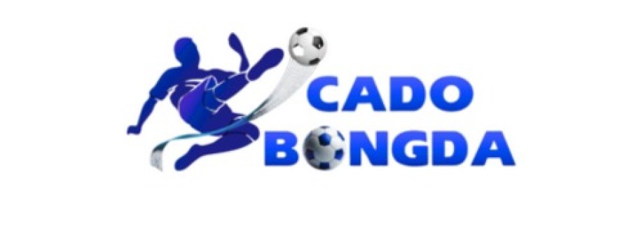 Cá Độ Bóng Đá Cover Image