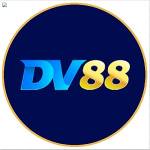 DV88 Profile Picture