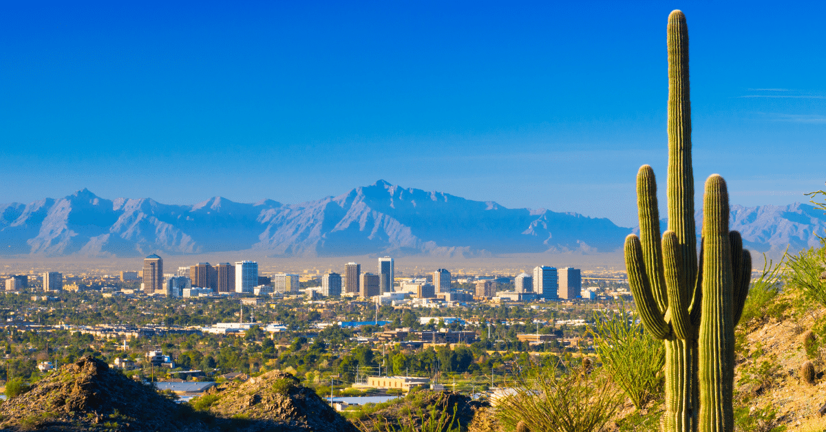 Social Media Visibility in the Zero-Click Era: Phoenix Tips