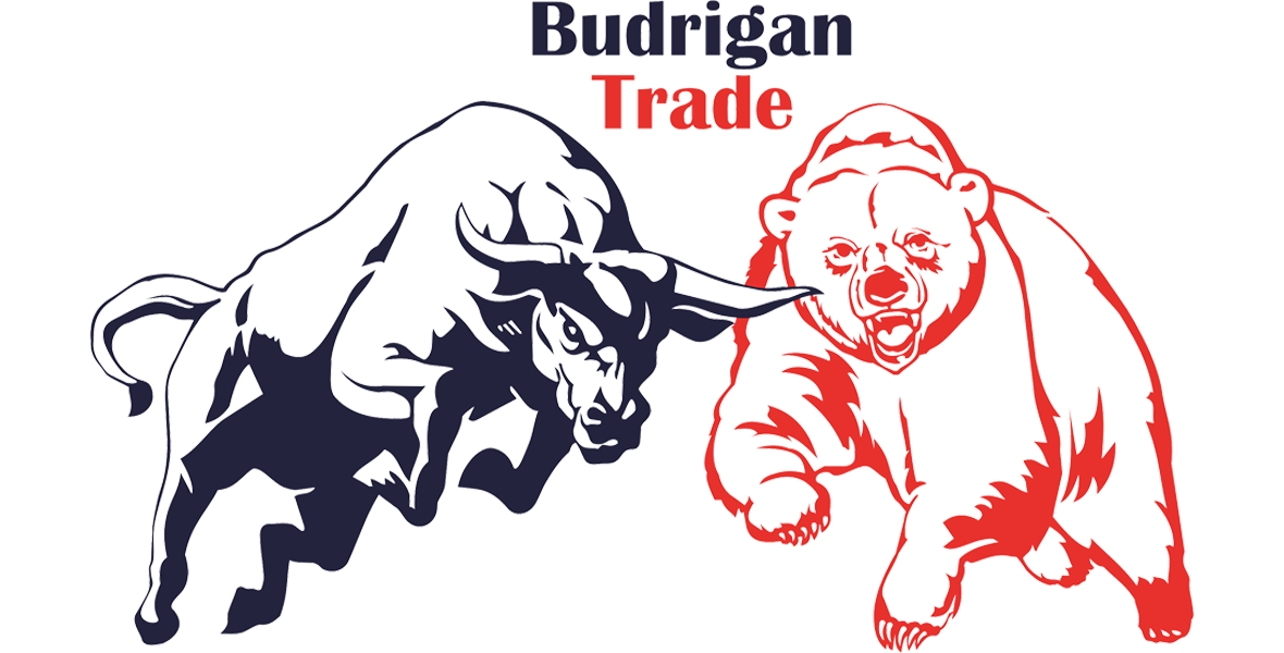 Budrigantrade - Contact Us