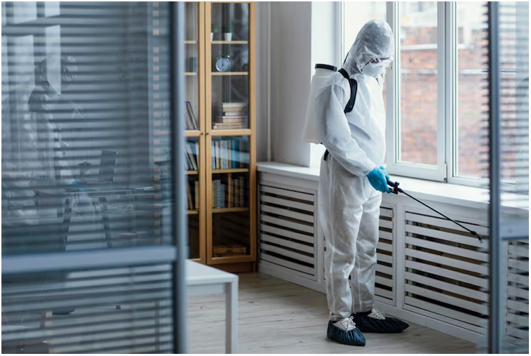 "How Oman's Climate Creates Perfect Conditions for Pests (And How We Stop Them)"