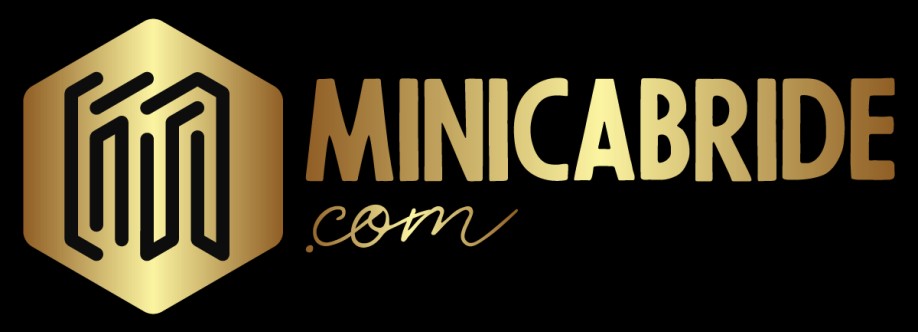 Minicab Ride Cover Image